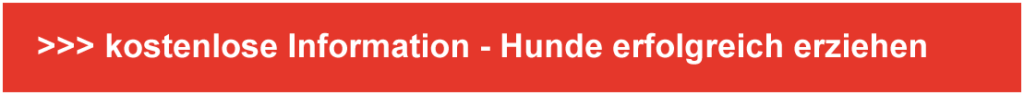Hundetrainig kostenlose Info
