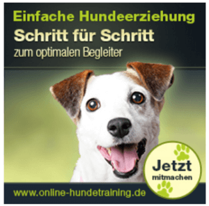 Günstige Hundeschule Kosten: Einfache Hundeerziehung online
