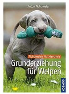 Hundespielzeug - Intelligenz von Welpen und Hunden spielerisch fördern