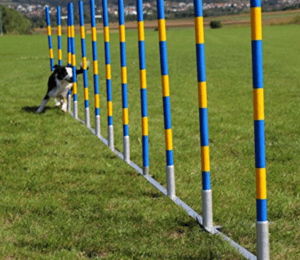 Gassen Slalom-Stangen für Hundetraining