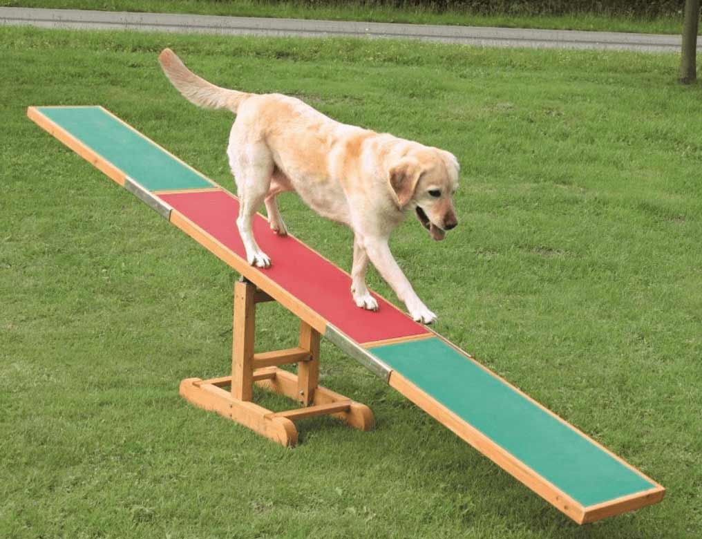 Hundewippe Trainingsgerät für Hunde