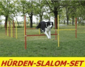 Agility Hürden für Slalom Stangenset