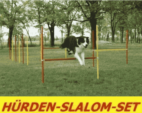 Agility Hürden für Slalom Stangenset