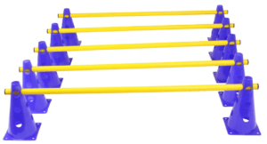 Agility Pylonen Set für Hundetraining Agility Pylonen Set für Übungen mit dem Hund